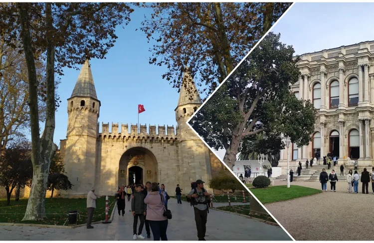 Стамбул, Турция. Дворцы. Фото: АТОР